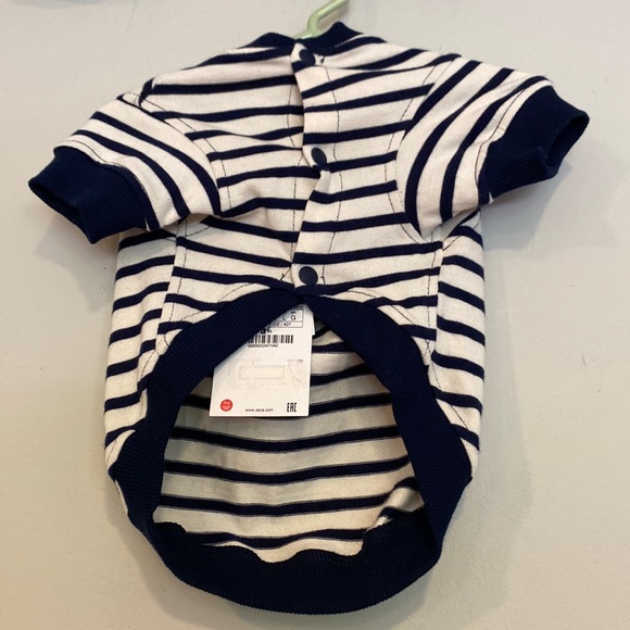 Zara Dog Zara Pet Collection Small Dog Size Large Poshmark